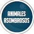 Animales Asombrosos REM