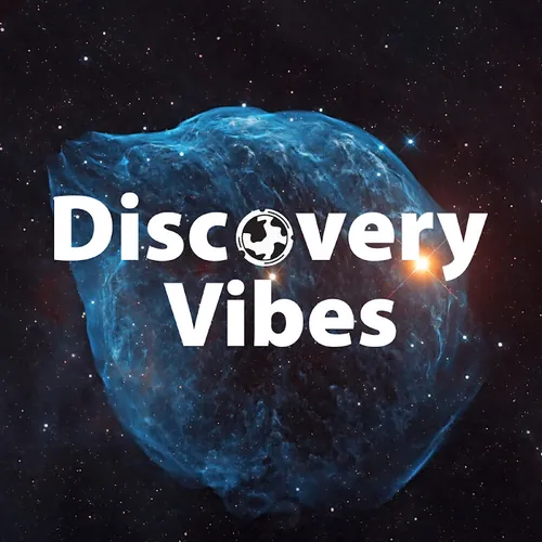 Discovery Vibes