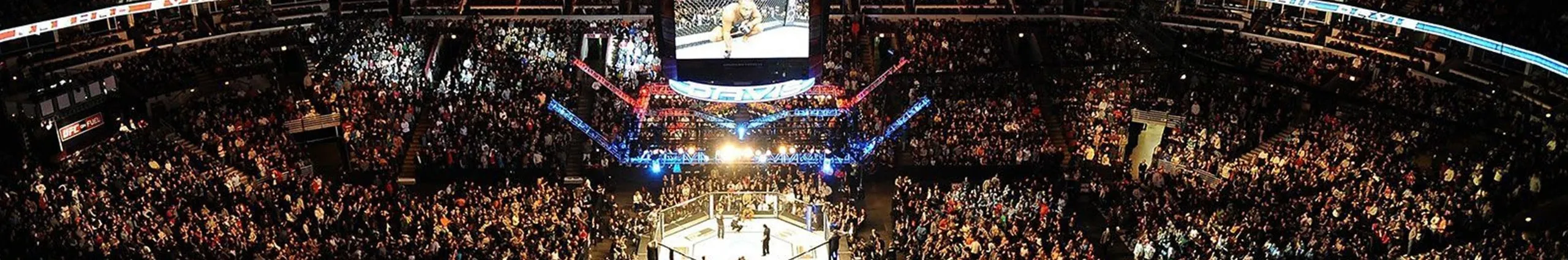 Profile Banner of MMA Fight Sims