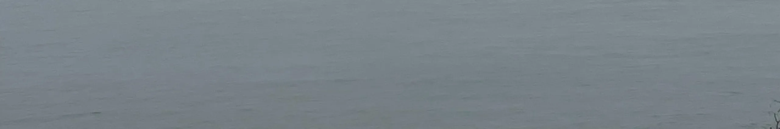 Profile Banner of ruu!