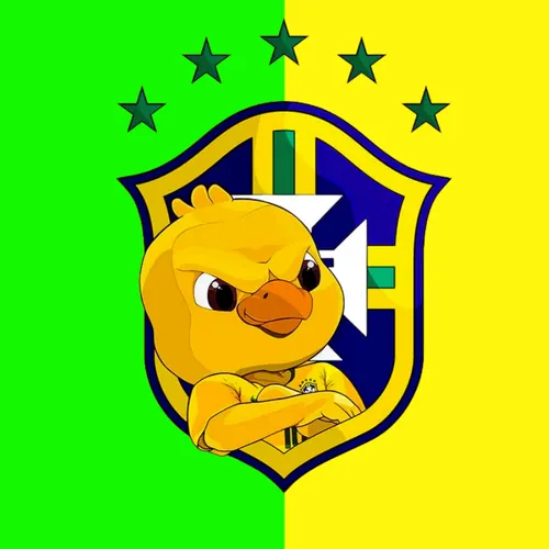 NOTICÍAS DA SELEÇÃO HOJE