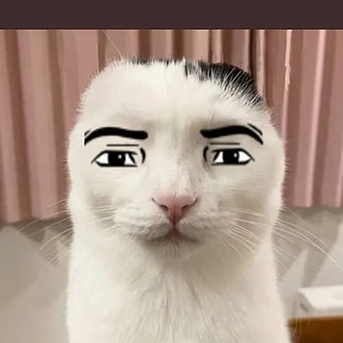 LUIS_YT