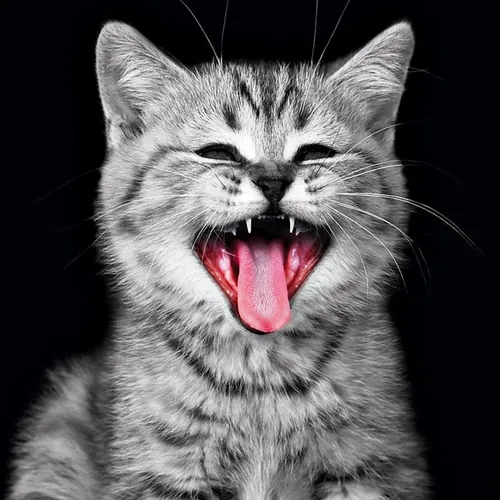 Юрий Грановский