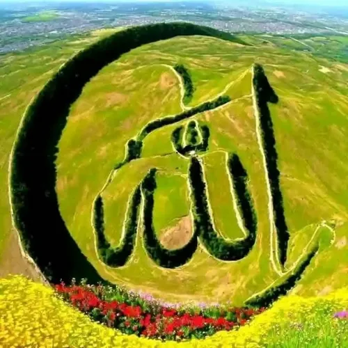 (@payara islam@)