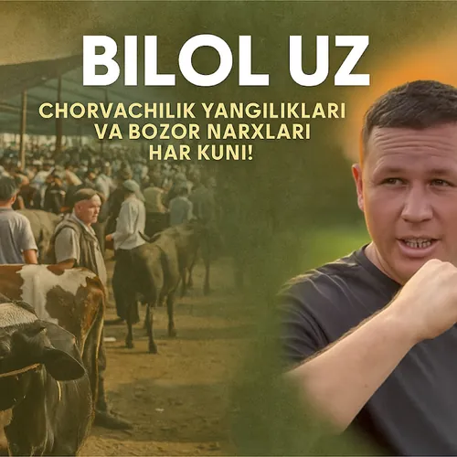 BILOL UZ