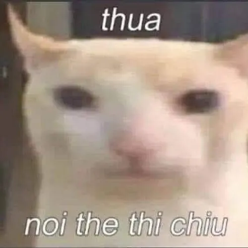 ??huy??