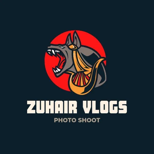 Zuhair vlogs