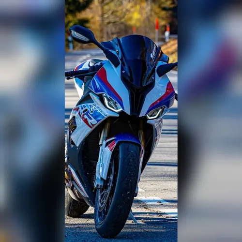 the duke 390 lover