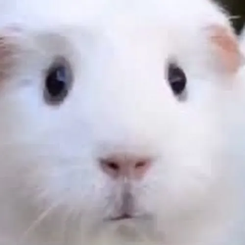 無表情
