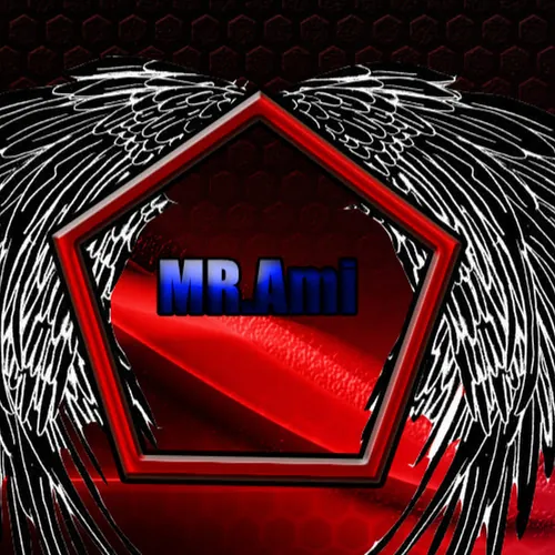 MR. Ami GAMER