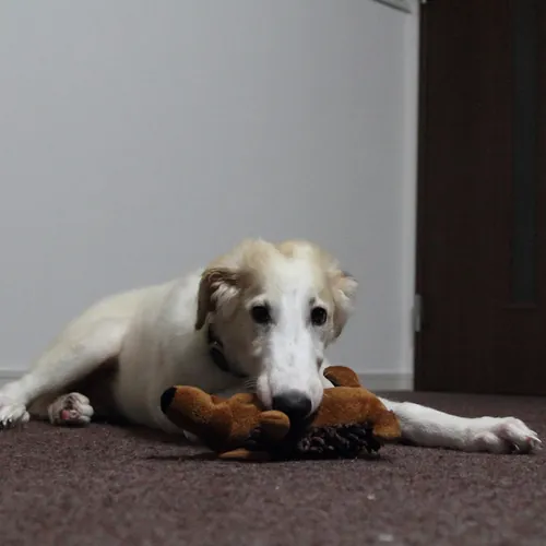 ちゃんねるレン