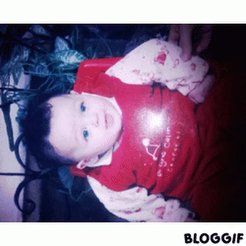 ayman steven