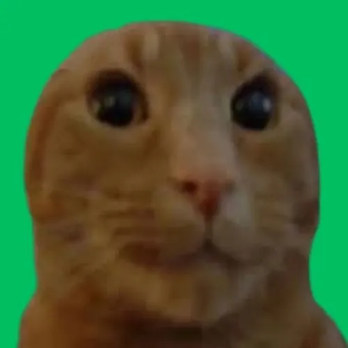 BRRRAT