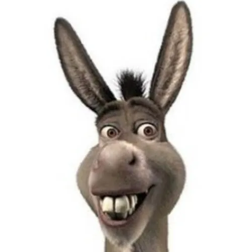 Oslik9