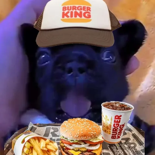 JellyBean Dog Burge King