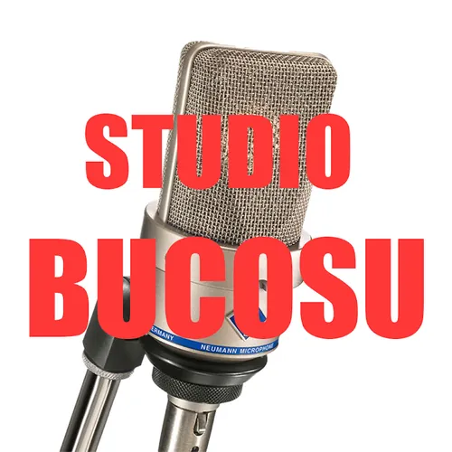 STUDIO BUCOSU