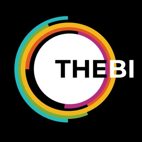 The BI Developer