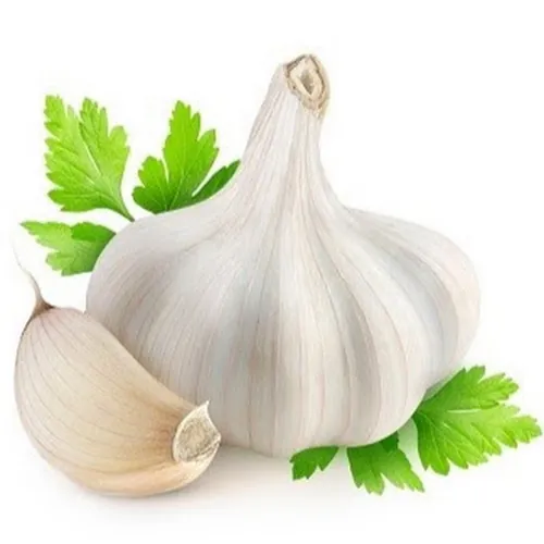 TouchTheGarlic