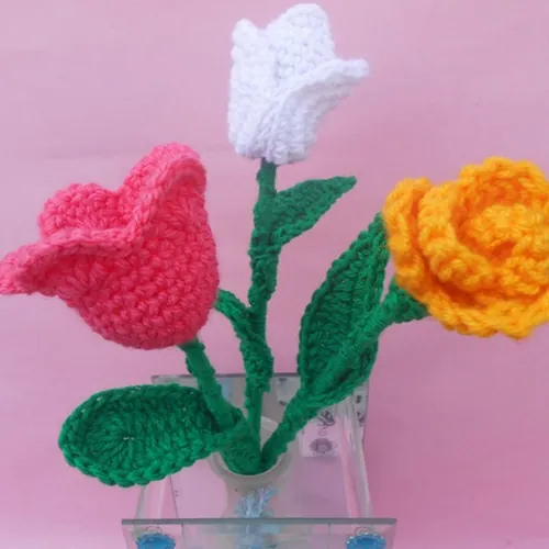 crochet-crosia