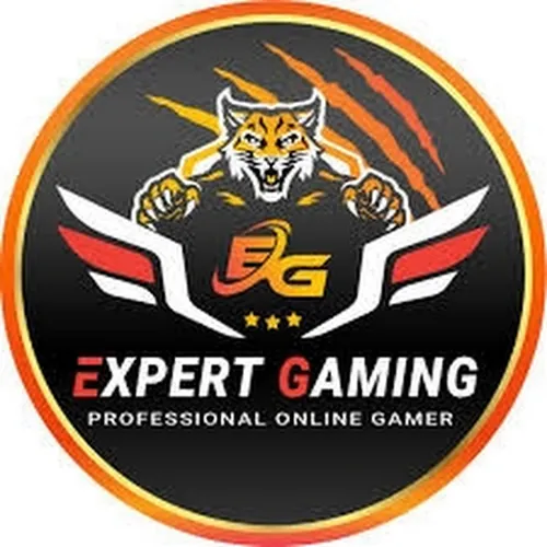 Experts gamer 89