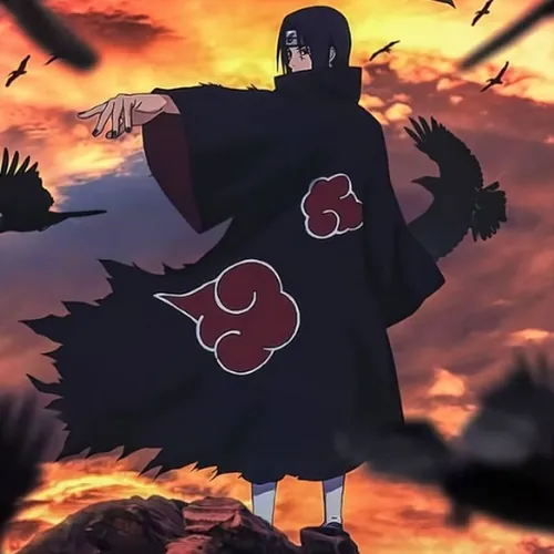 B.itachi