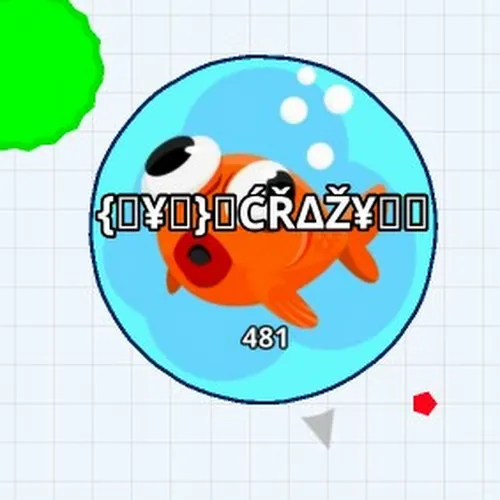 TYT Crazy