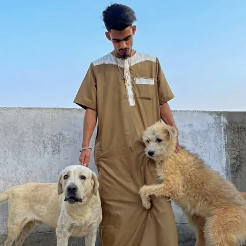 IrtiazAnimals
