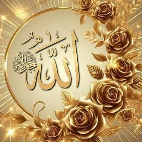 MOHAMMADHUSSAIN-786