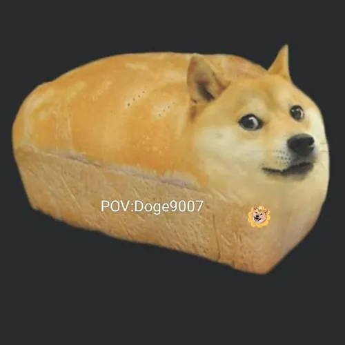 Dogez9007