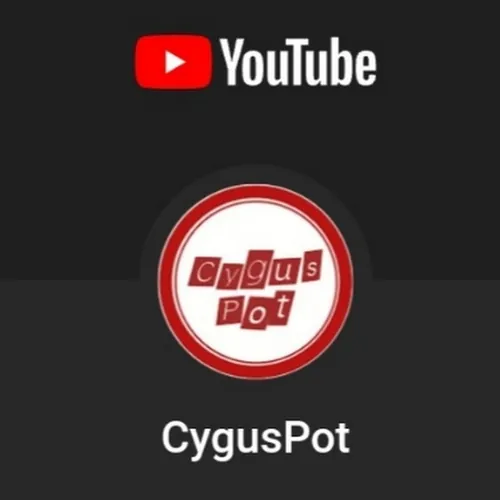 CygusPot