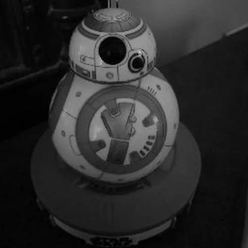 Rangel Robledo Alejandro