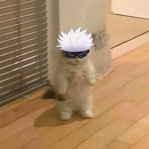 GOJO