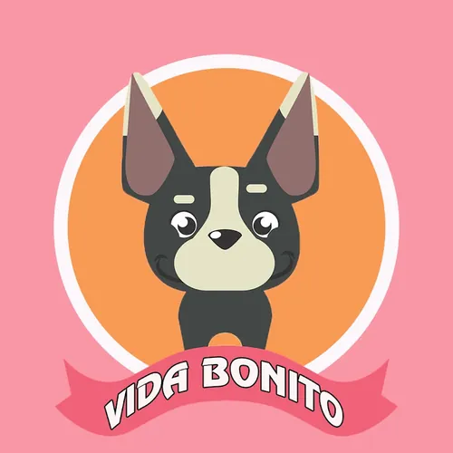 Vida Bonito