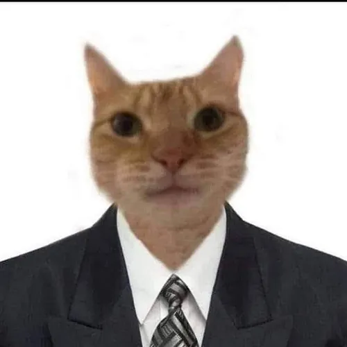 Zé rolinha Tv