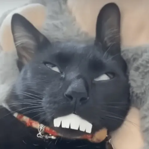 Rezac