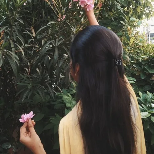 Royal Darshan kannadiga