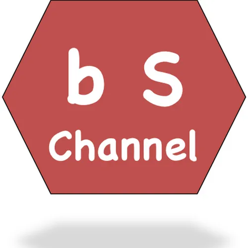 bS Channel