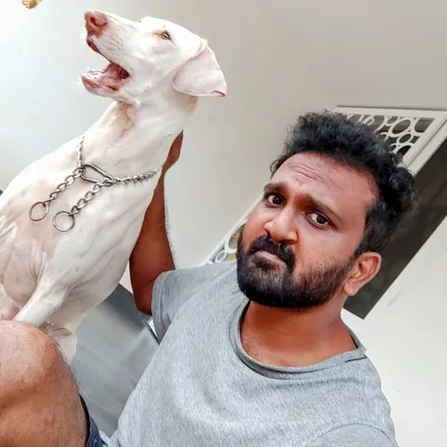 The Guardian Trio : Akira - Sena - Mika