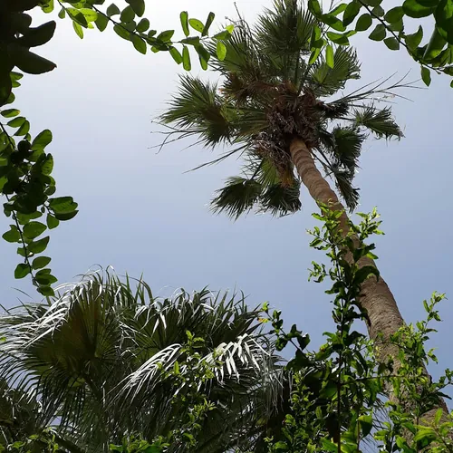 منوعات محفوظة 