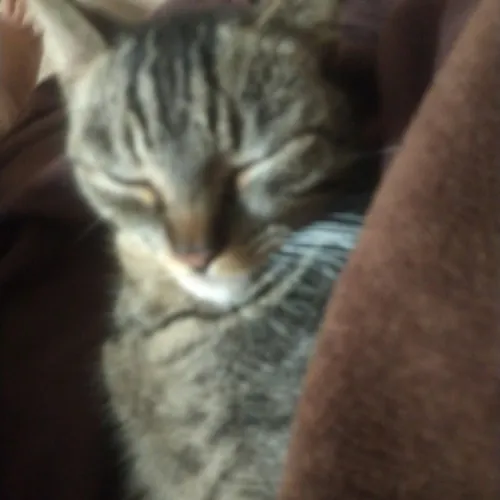 Bruno Otávio Pedro Pedro