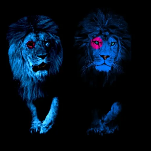 Lili Sun & Lion