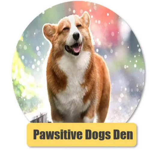 Pawsitive Dogs Den