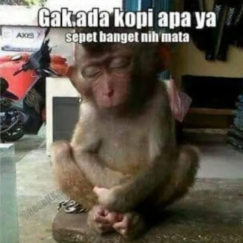 mancing mania Surabaya