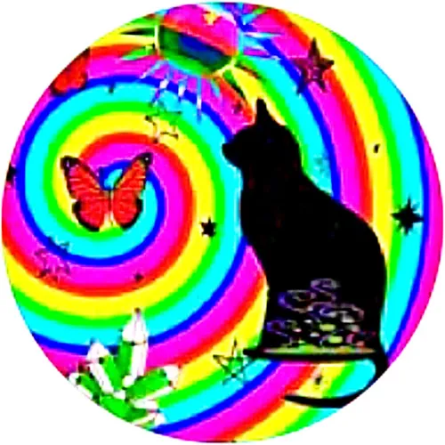 Kendra Nicole | Artist