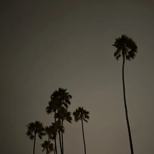 Race Me To Heaven - Topic