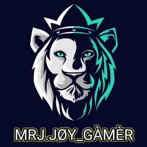 Mrj jøy gamer