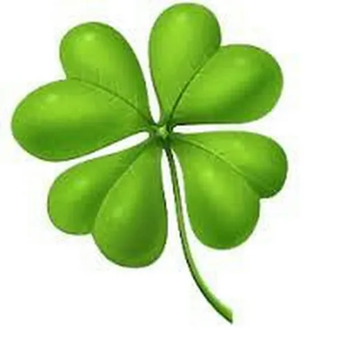 Marcelo Andres Numerologo