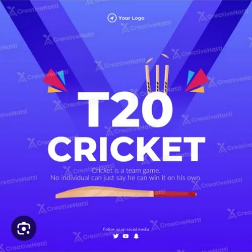 T20 cricket Boss 33