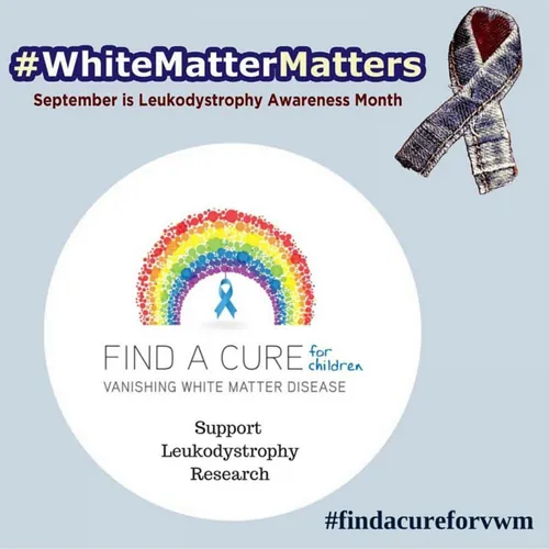 Find a Cure for VWM