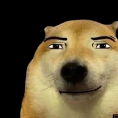 Dawg
